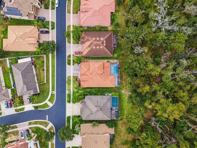 2961 CALVANO DRIVE, Land O Lakes, FL 34639