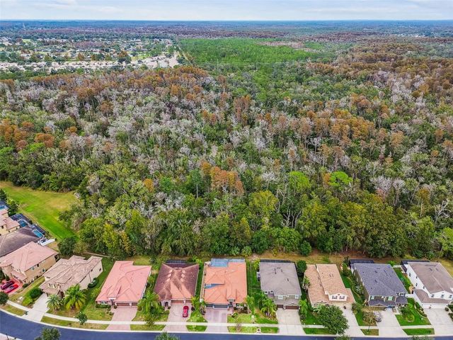 2961 CALVANO DRIVE, Land O Lakes, FL 34639