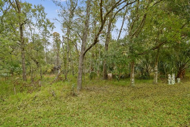 2961 CALVANO DRIVE, Land O Lakes, FL 34639