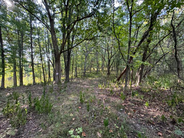 GRAEFENBURG RD Fox Hollow Graefenburg Rd Road, Lawrenceburg, KY 40342