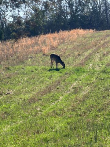 GRAEFENBURG RD Fox Hollow Graefenburg Rd Road, Lawrenceburg, KY 40342