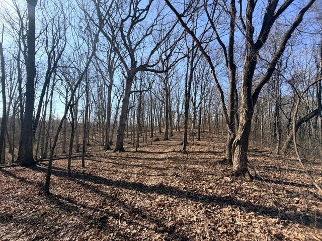 GRAEFENBURG RD Fox Hollow Graefenburg Rd Road, Lawrenceburg, KY 40342