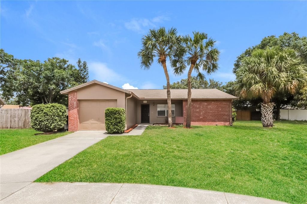 1002 PINEHAVEN COURT, Brandon, FL 33511