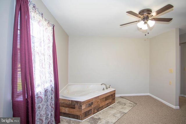 161 COYOTE RUN RD, Mathias, WV 26812