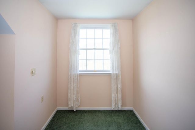 161 COYOTE RUN RD, Mathias, WV 26812
