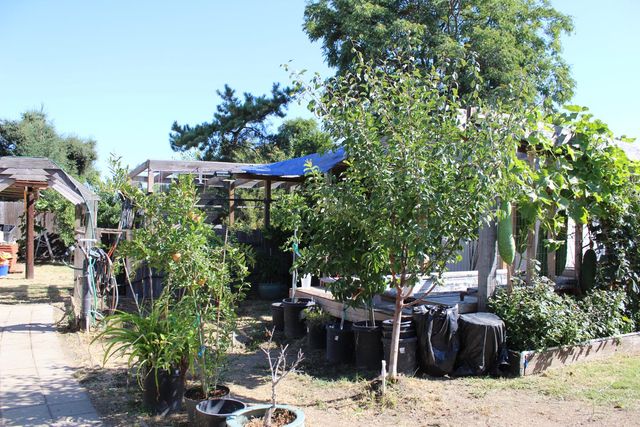 681 Taylor, Lodi, CA 95242