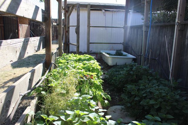 681 Taylor, Lodi, CA 95242