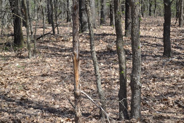 17414 Bridgeview Road, Madill, OK 73446