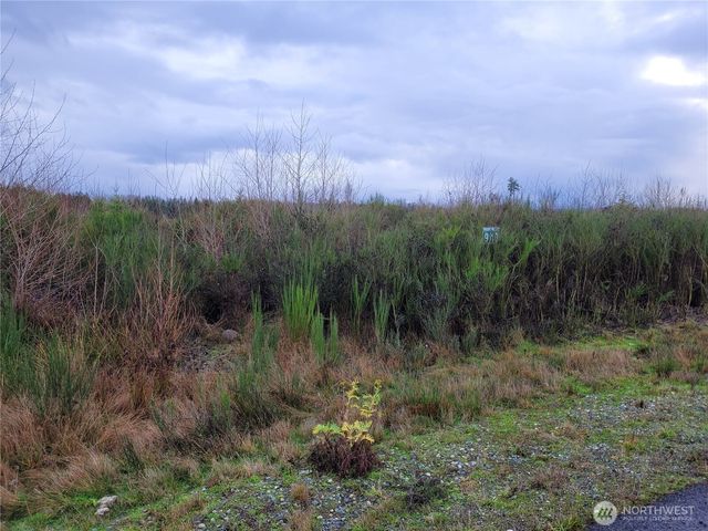 1944 330th Street Ct E, Roy, WA 98580