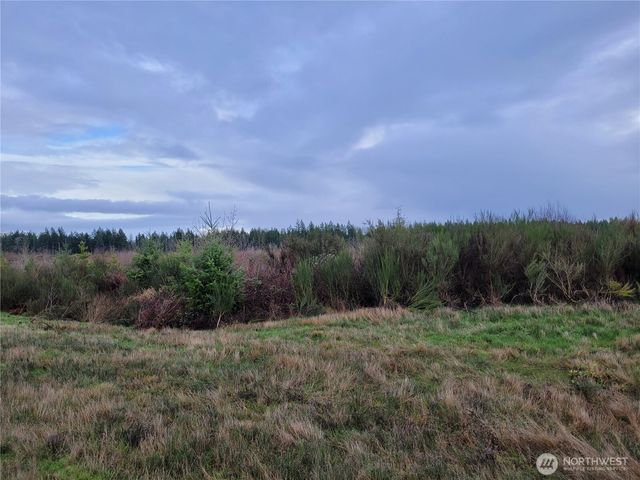 1944 330th Street Ct E, Roy, WA 98580