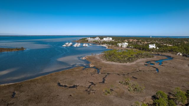 8981 Heron Walk Drive UNIT 8981, Miramar Beach, FL 32550
