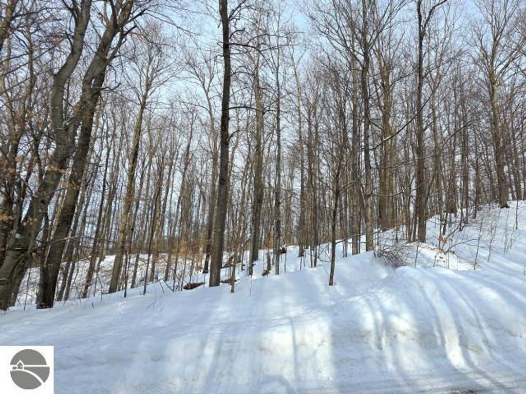 Image 8 of property listing at 119 Legend Trail, Bellaire, MI 49615