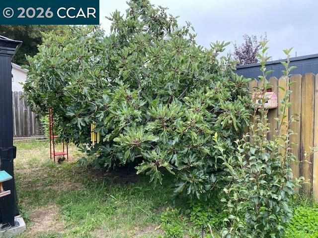 559 43rd Street, Richmond, CA 94805