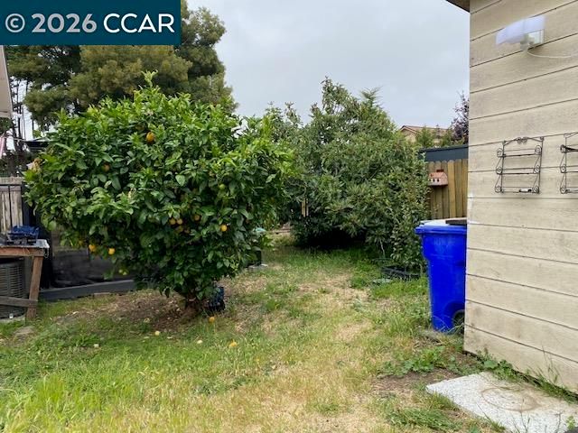 559 43rd Street, Richmond, CA 94805