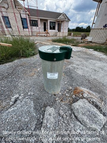 4718 Eagleville Pike, Chapel Hill, TN 37034