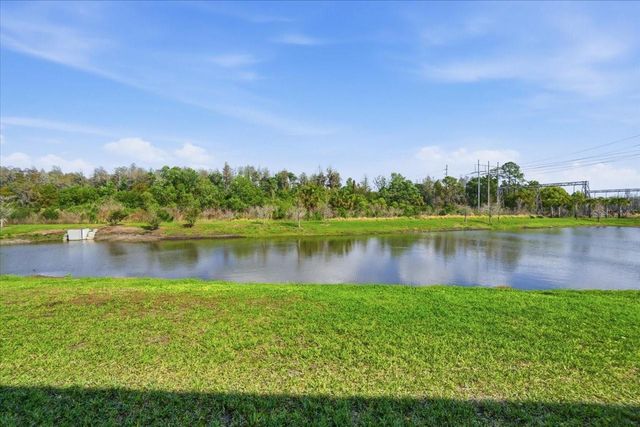 8327 WILDFLOWER GLEN AVENUE, Odessa, FL 33556