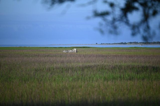 0 Cole Island, Folly Beach, SC 29439