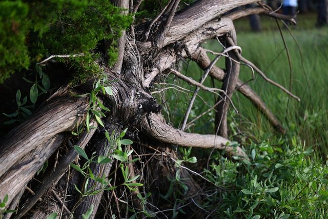 0 Cole Island, Folly Beach, SC 29439