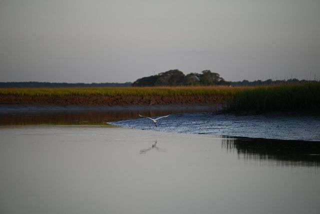 0 Cole Island, Folly Beach, SC 29439