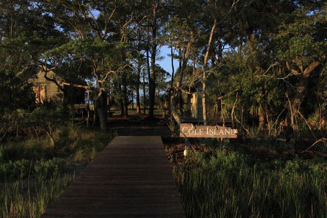0 Cole Island, Folly Beach, SC 29439