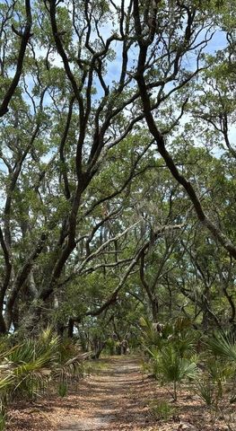 0 Cole Island, Folly Beach, SC 29439