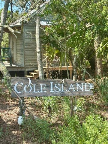 0 Cole Island, Folly Beach, SC 29439