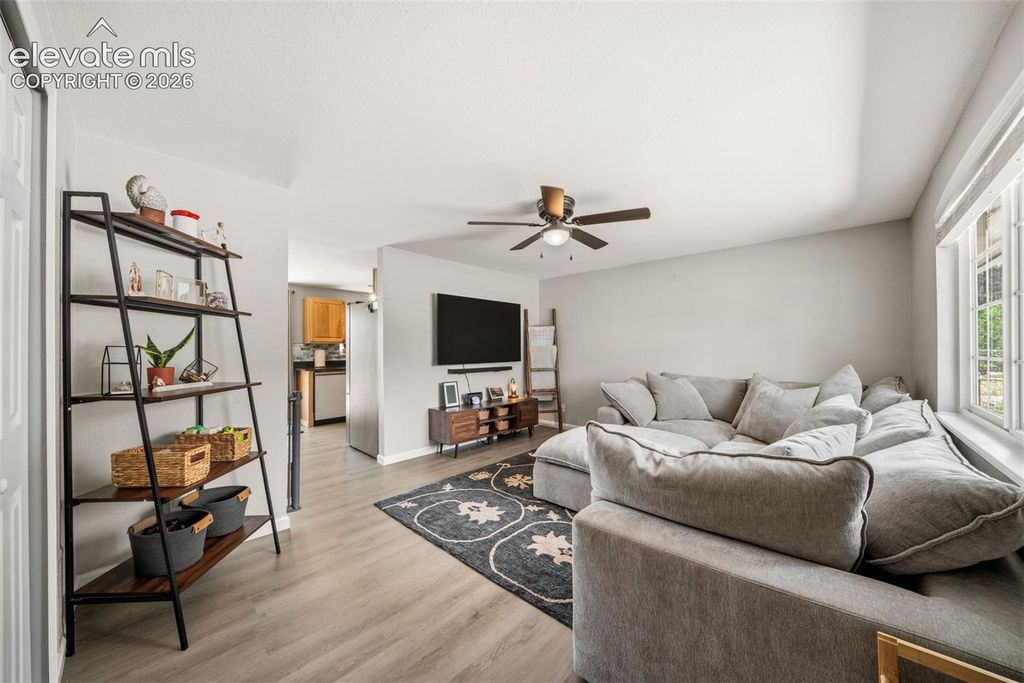 7115 White Mountain Drive, Colorado Springs, CO 80915 — photo 5