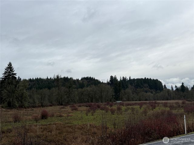 218 Lincoln Creek Road, Centralia, WA 98531