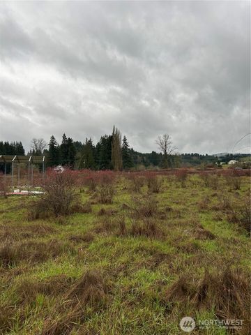 218 Lincoln Creek Road, Centralia, WA 98531