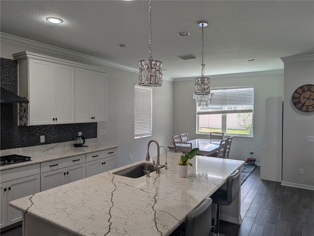 19410 ROSEMOOR AVENUE, Lutz, FL 33558
