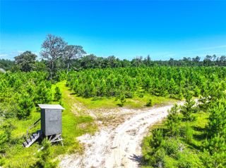 TBD2 County Road 1450, Warren, TX 77664