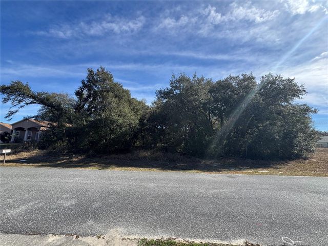 SW 142ND PLACE RD, Ocala, FL 34473