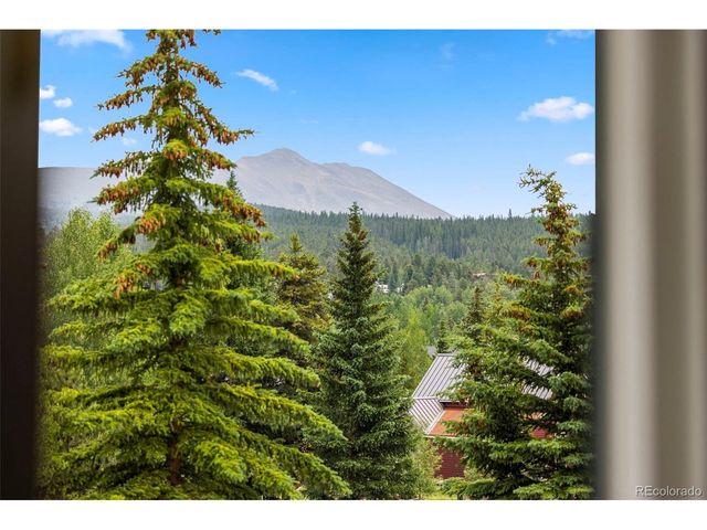 301 N French St 303, Breckenridge, CO 80424