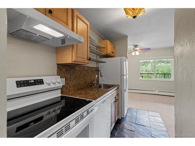 301 N French St 303, Breckenridge, CO 80424