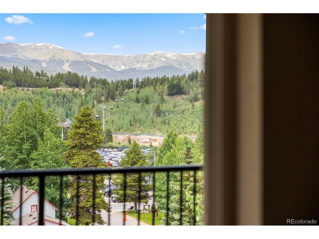 301 N French St 303, Breckenridge, CO 80424