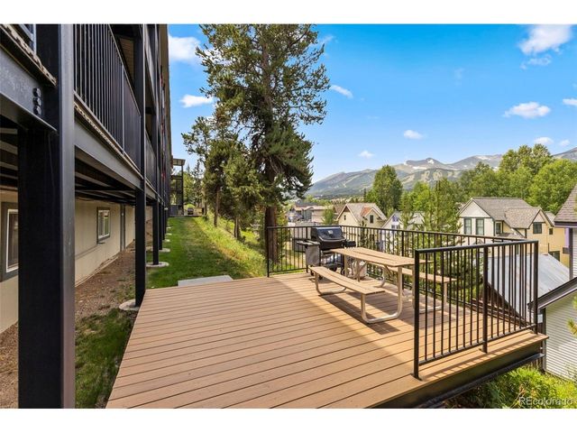 301 N French St 303, Breckenridge, CO 80424