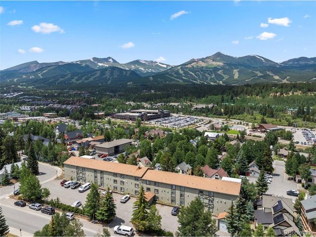 301 N French St 303, Breckenridge, CO 80424