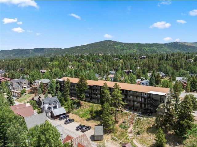 301 N French St 303, Breckenridge, CO 80424