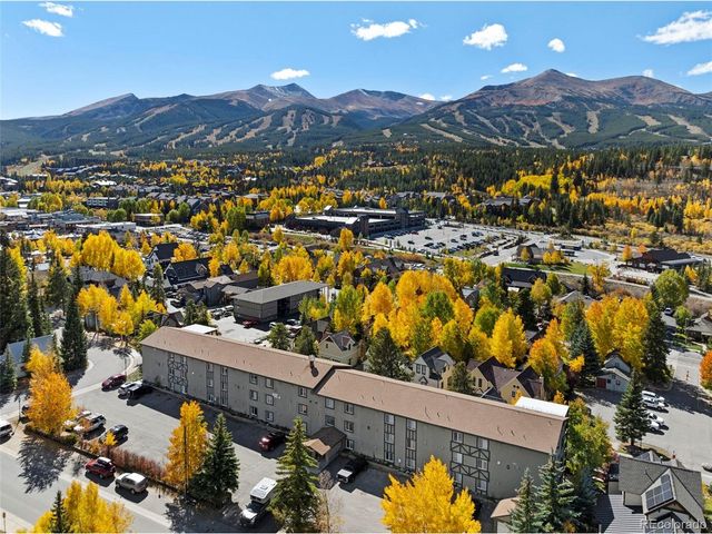 301 N French St 303, Breckenridge, CO 80424