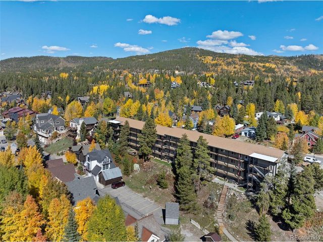 301 N French St 303, Breckenridge, CO 80424