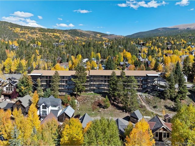 301 N French St 303, Breckenridge, CO 80424