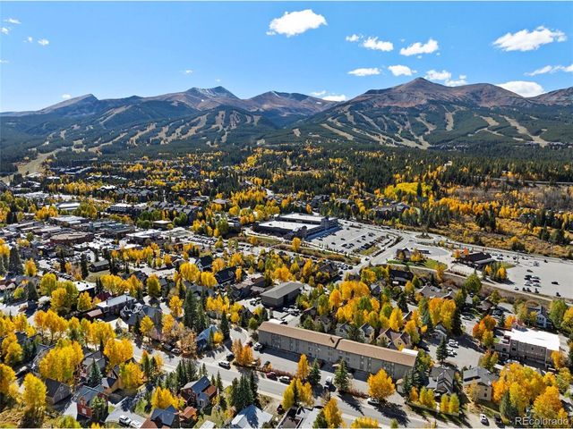 301 N French St 303, Breckenridge, CO 80424