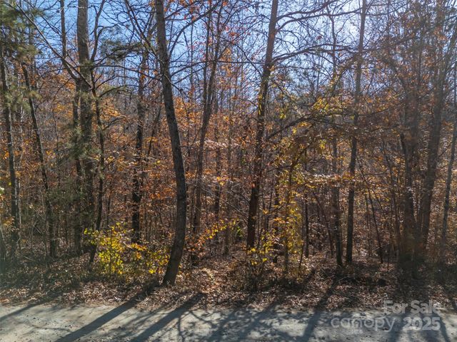 145 Stroud Mountain Trail 85, Rutherfordton, NC 28139