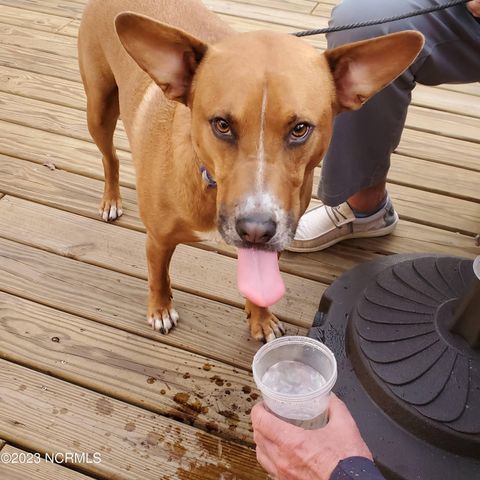 808 N 5th Avenue, Wilmington, NC 28401