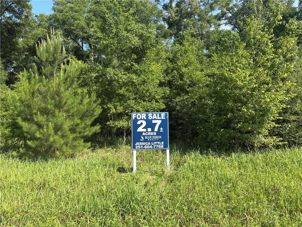 6670 Wilmer Georgetown Road, Wilmer, AL 36587 — photo 3