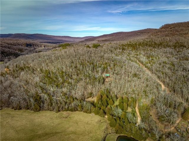 461 NC 8647, Parthenon, AR 72666