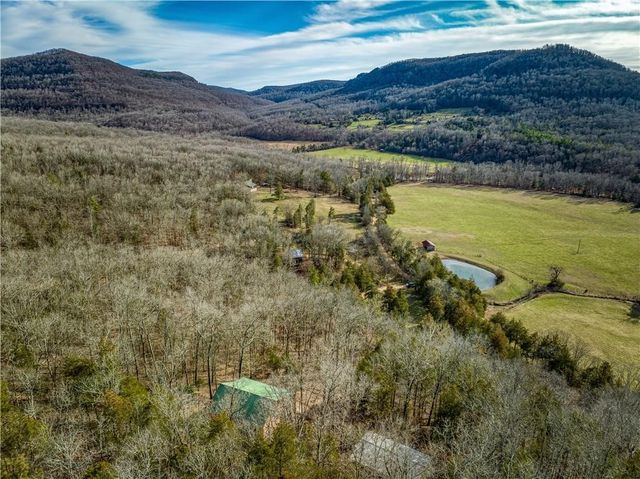 461 NC 8647, Parthenon, AR 72666