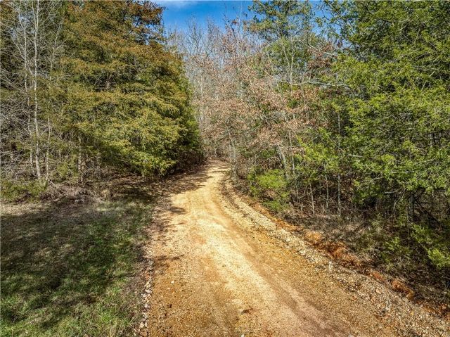 461 NC 8647, Parthenon, AR 72666