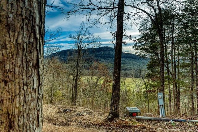 461 NC 8647, Parthenon, AR 72666