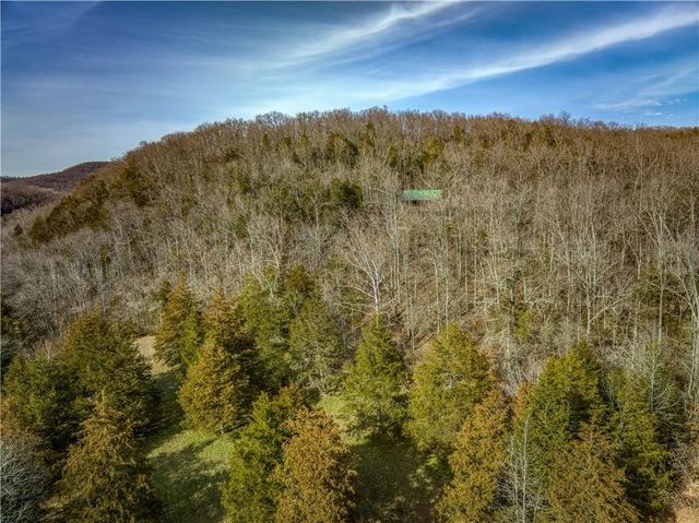 461 NC 8647, Parthenon, AR 72666